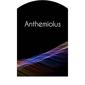 Anthemiolus