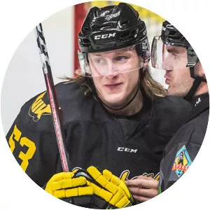 Anthon Eriksson - Swedish ice hockey player