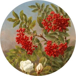 Anthonore Christensen