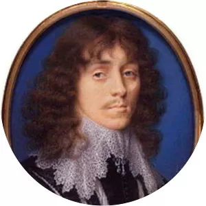 Anthony Cary, 5th Viscount Falkland - Politician