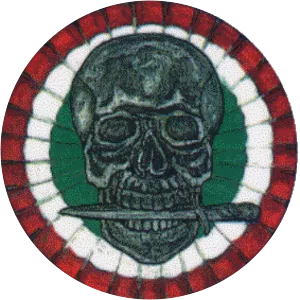 Anti-Communist Volunteer Militia