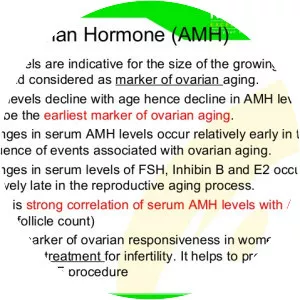 Anti-Müllerian hormone - 