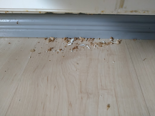 Anticimex Gothenburg - 