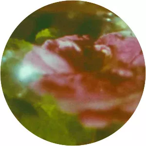 Anticipation of the Night - 1958 ‧ Short ‧ 42 mins