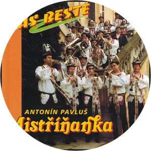 Antonín Pavluš Musician