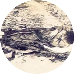 Antônio Conselheiro