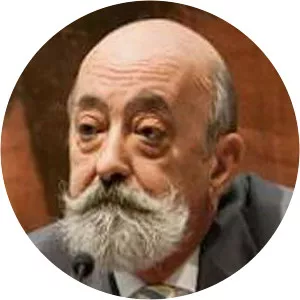 Antonio Mostalac Carrillo - Historian