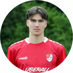 Antonio Tikvić - Soccer player