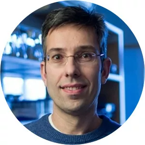 Antonis Rokas - Researcher