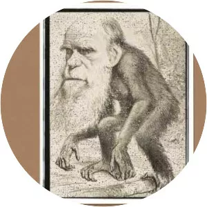 hannes saari antti syrjäniemi