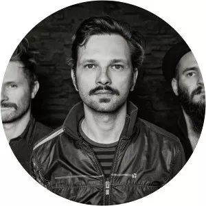 Antun Opic - Musical artist