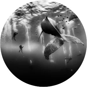 Anuar Patjane Floriuk