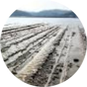 Aoshima Island - Island in Miyazaki, Japan