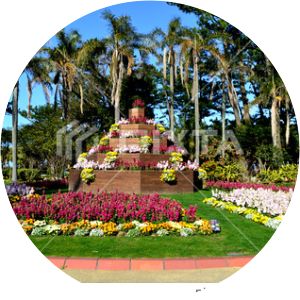 Aoshima Subtropical Botanical Garden