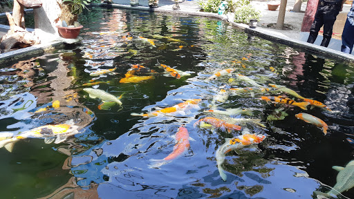 Ap Phuoc Lap cultural house - Cultural center in Vietnam