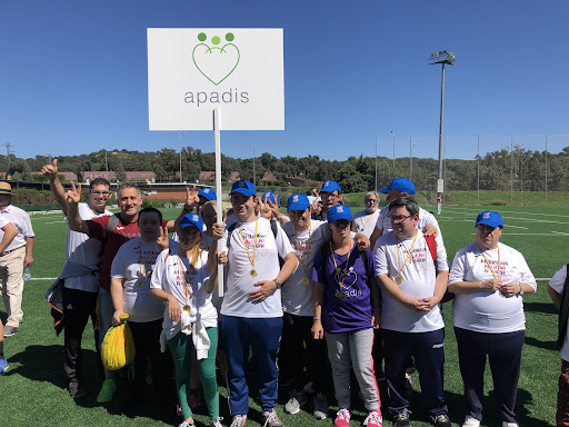 APADIS - Non-profit organization in San Sebastian de los Reyes, Spain