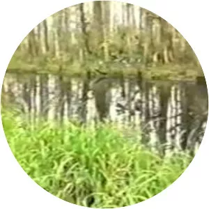 Apalachicola National Estuarine Research Reserve - 