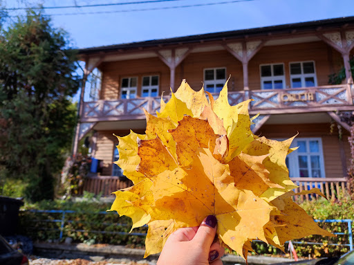 Apartament Nikifour - Holiday apartment rental in Krynica-Zdroj, Poland