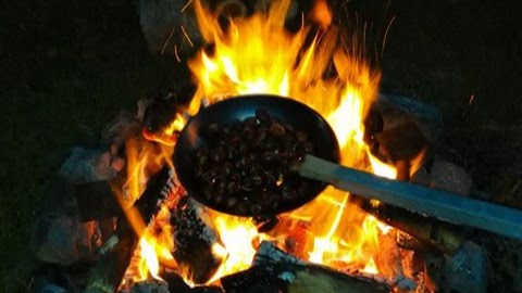 Apartamentos Rurales Casa El Caminero  - Holiday apartment in Spain