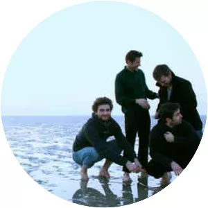 eliott litrowski apes & horses