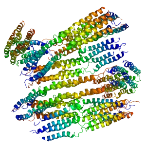 APOA2 - Protein