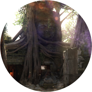 Apocalypse: the Cold War