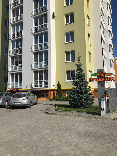 Apollo Lviv - 