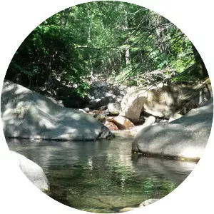 Appennino Tosco-Emiliano