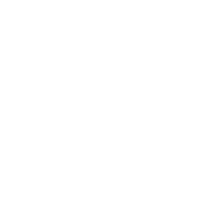 Appetize Technologies, Inc.