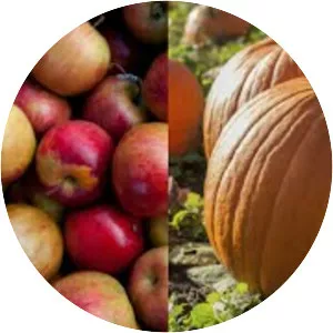 Apples and Pumpkins