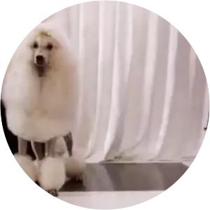 Appoline - Fictional character