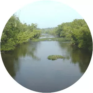 Appomattox River - Tributary in Virginia
