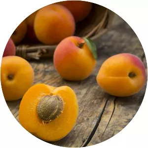 Apricots - Fruit
