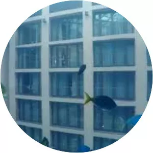 AquaDom & SEA LIFE Berlin