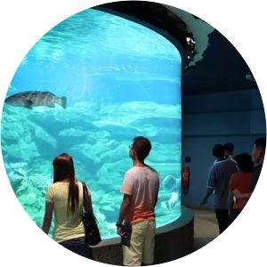 Aquarium and Marine Museum