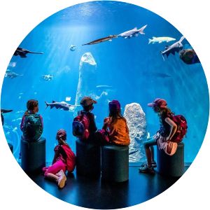 AQUATIS Aquarium-Vivarium