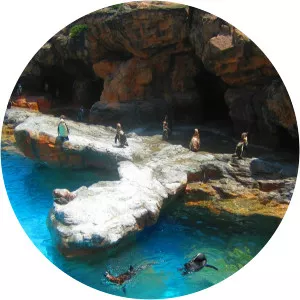 Aquaworld Aquarium & Reptile Rescue Centre