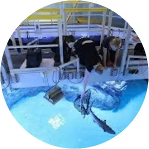 Aquazoo Löbbecke Museum Dusseldorf - 