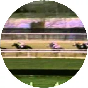 Aqueduct Racetrack - 