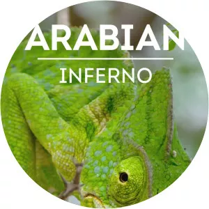Arabian InfernoSince 2017