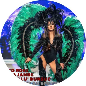 Arabii Lu' Bursuc - Musical artist