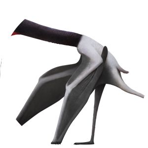 Arambourgiania - Animal