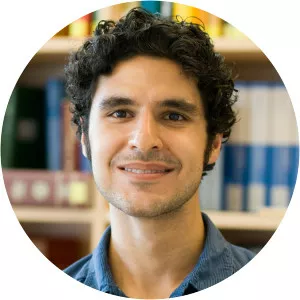 Arash Nikoubashman - Researcher