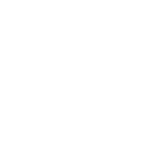 Arbor Realty Trust - Real estate investment trust company