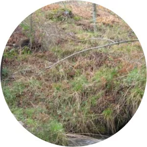 Arboreto Luis Ceballos