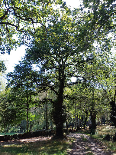 ARBORETUM DE GALICIA