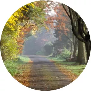 Arboretum of Groenendaal Hoeilaart