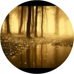 Arcane Necrosis - Musical artist