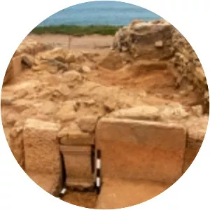 Archaeological Site of Alto da Vigia - 