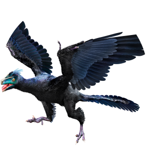 Archaeopteryx - Book by Susan H. Gray